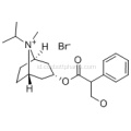 Ipratropium bromida CAS 22254-24-6